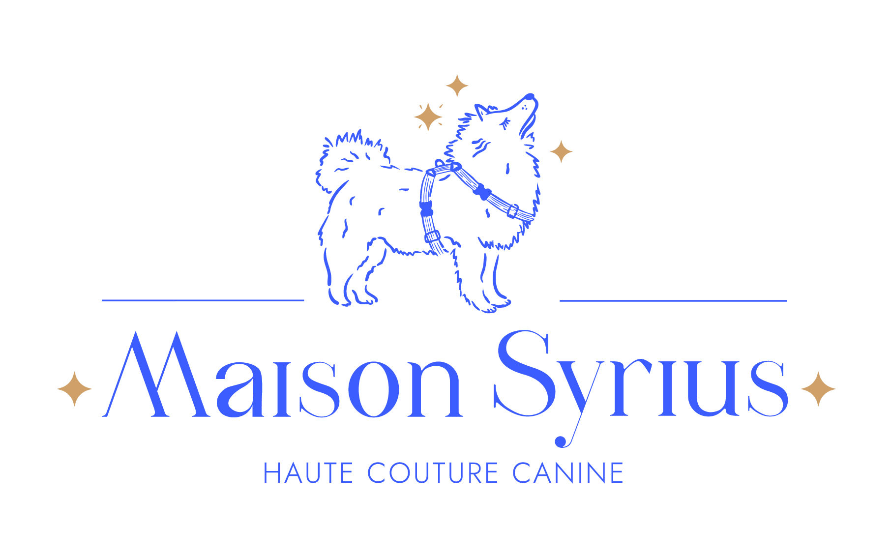 maison syrius logo principal bleu dore rvb